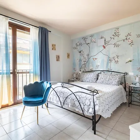 Il Mio Iris Arezzo